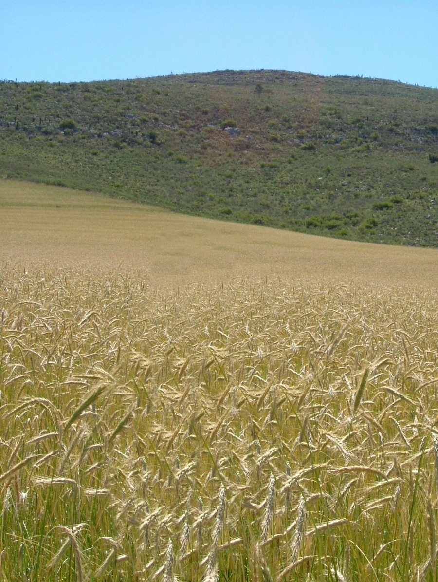 2 Bedroom Property for Sale in Swellendam Rural Western Cape